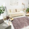 Thảm Trải Sàn Lông Xù s0043