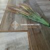 Ảmj Sàn gỗ Thaistar