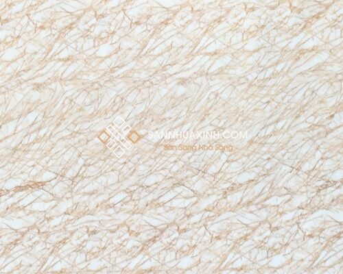 Tấm Nhựa Xuyên Sáng 604