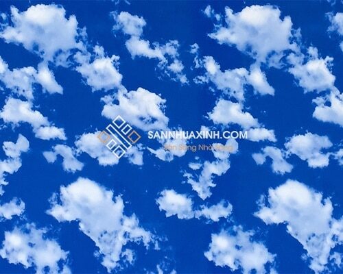 Tấm Nhựa Xuyên Sáng 605