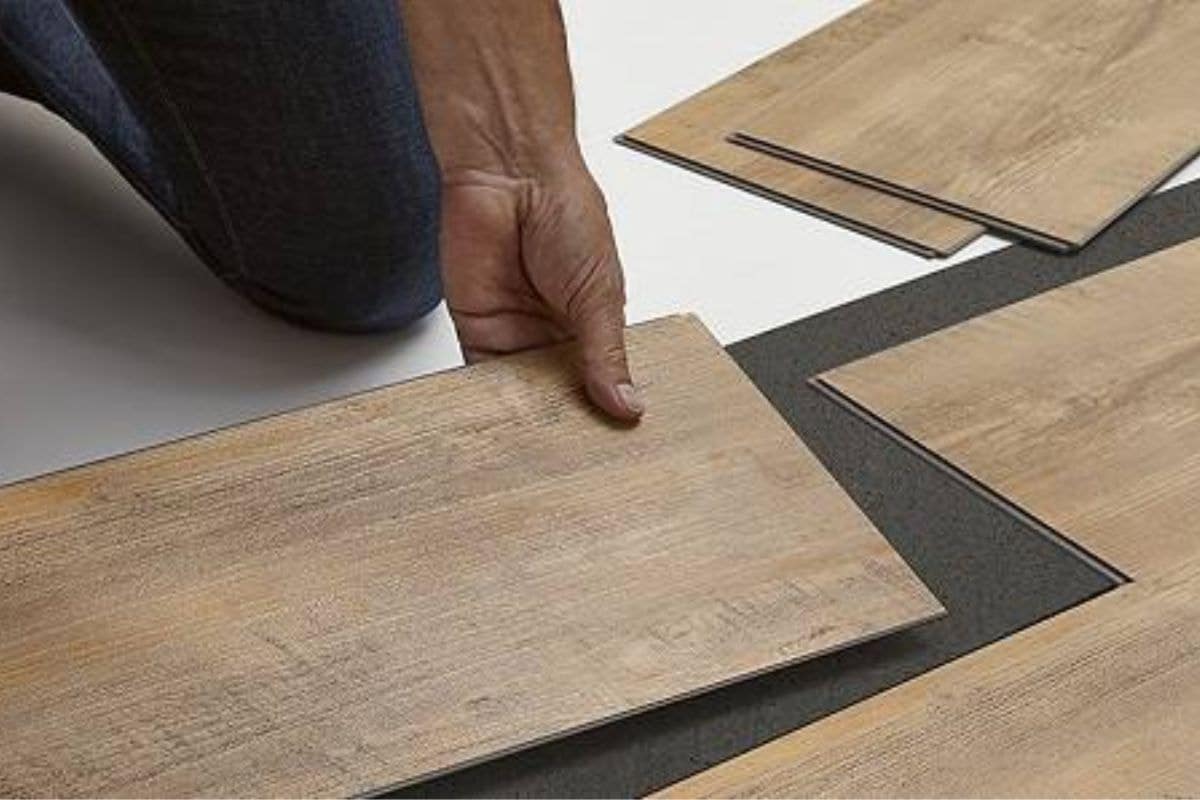 Các tác động ngoại cảnh